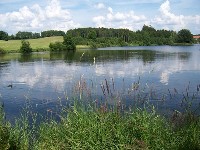Natur erleben am Haselbachsee