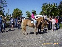 Maiwanderung 2007