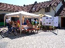 Tag des offenen Campingplatzes 2008