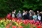 Ausflug an den Bodensee auf die Insel Mainau am 09. Mai 2015