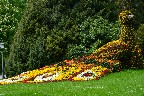 Ausflug an den Bodensee auf die Insel Mainau am 09. Mai 2015