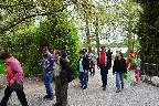 Ausflug an den Bodensee auf die Insel Mainau am 09. Mai 2015