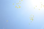 Tag der offenen Tür am 14. Juni 2015