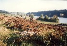Impressionen
